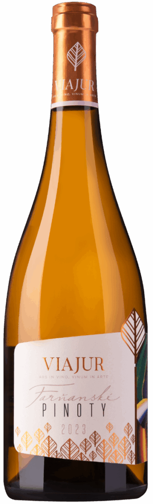 Pinoty 23 1 1