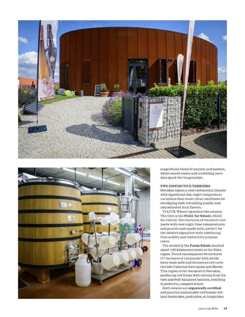 img 1763630233862183