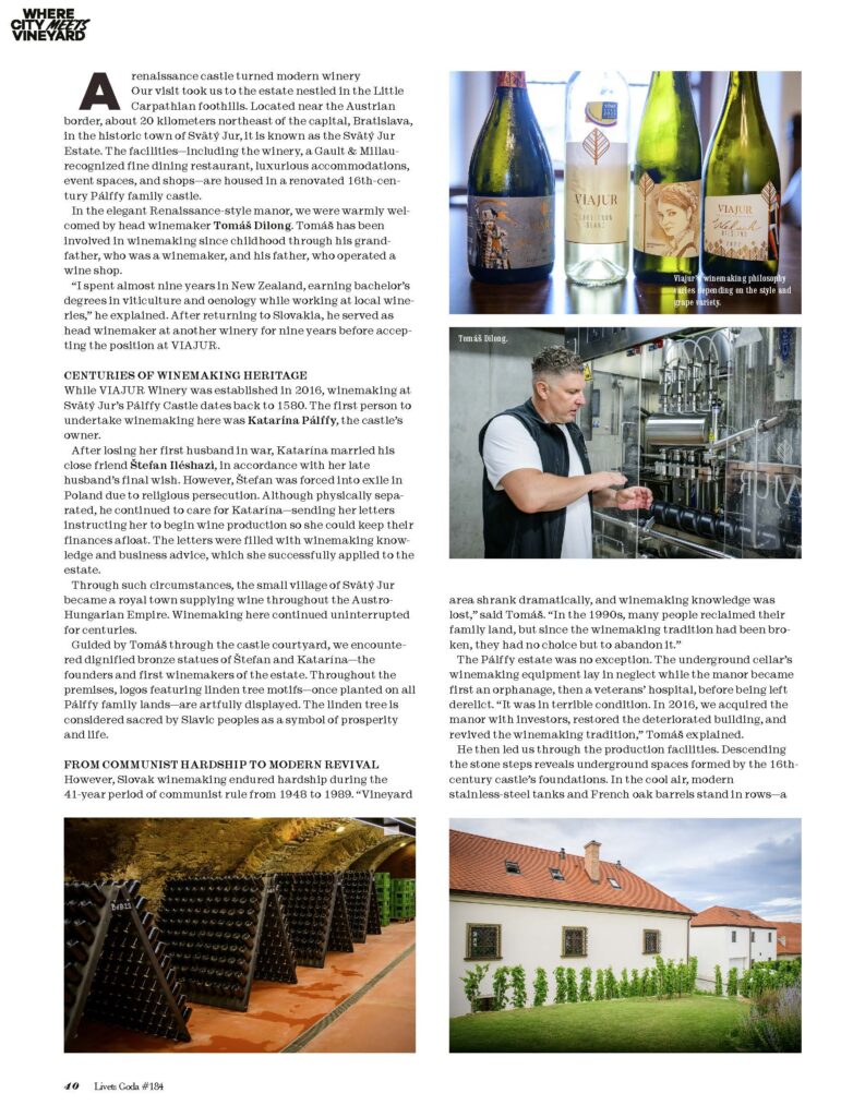 img 1763630237629337