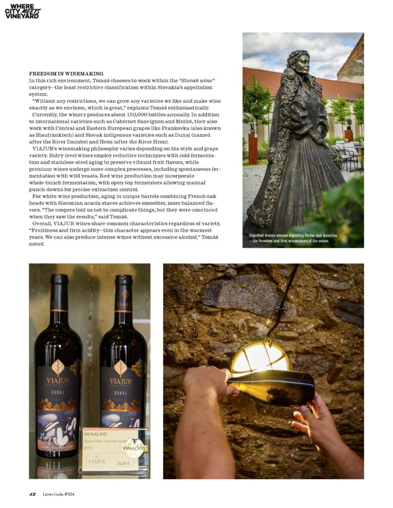 img 1763630241129827