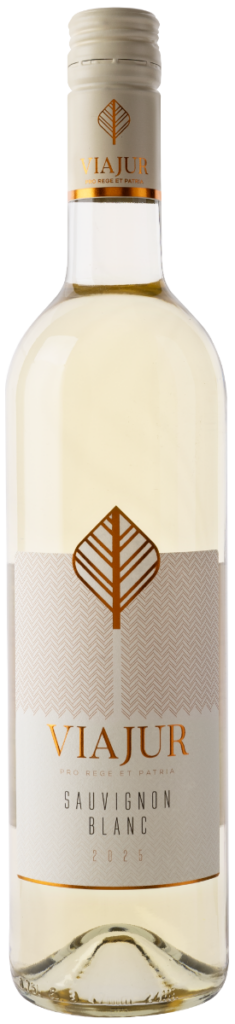 Sauvignon blanc 2025 3 ViaJur Classic Sauvignon Blanc 2025