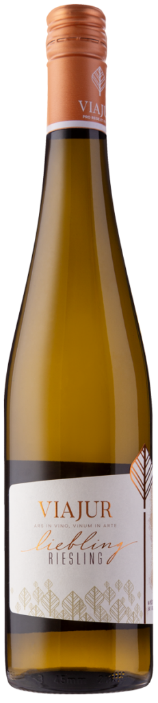Riesling Liebling 2024 Ars in Vino 5 ViaJur liebling 24