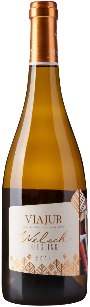 Viajur Welsch riesling 24 1